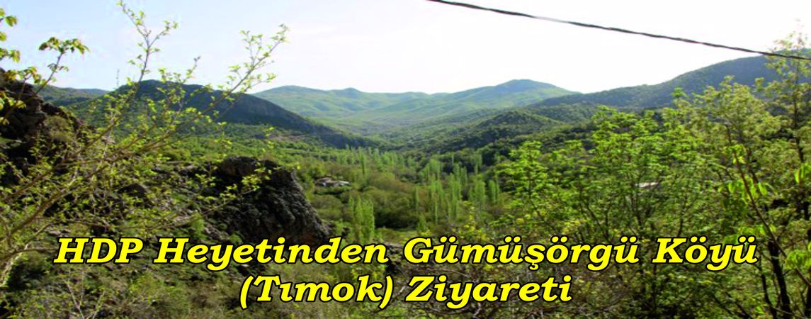 HDP Heyetinden Gümüşörgü  Köyü (Tımok) Ziyareti